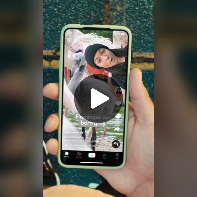 1997 Hợp Số Điện Thoại Nào - Tất Tần Tật Những Điều Cần Biết